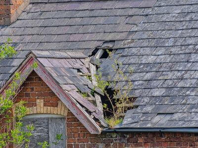 Professional water damage restoration services in Annandale - Water Damage Restoration Annandale